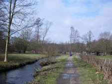 Wandsetal Volkslauf 139